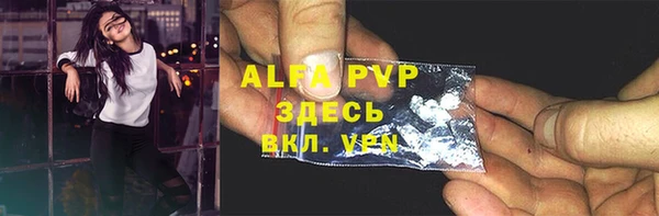 ECSTASY Гусев