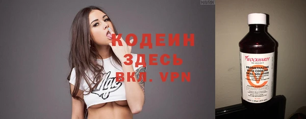 ECSTASY Гусев